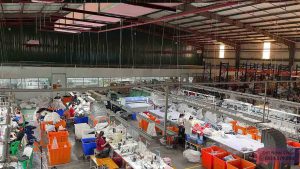 Toàn bộ xưởng dệt bo tay áo polo cao cấp Ngọc Châu